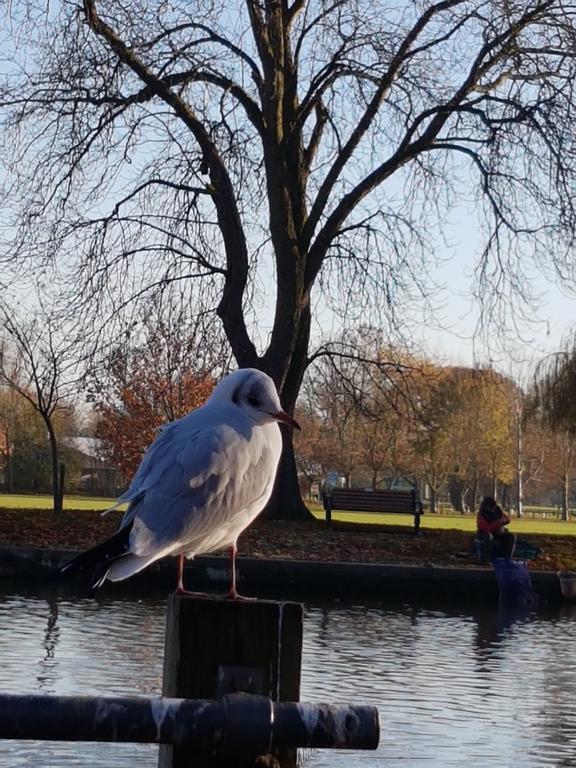 Penryn Guest House, Ensuite Rooms, Free Parking And Free Wifi Stratford-upon-Avon Luaran gambar